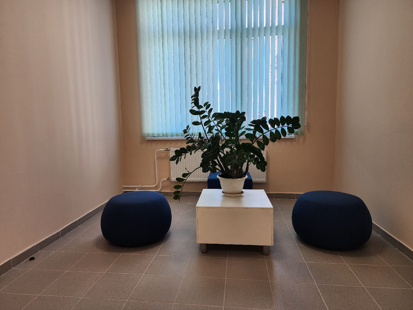 образование, новый учебный год, школа-новостройка, Новое Бисерово-2, Богородский городской округ,