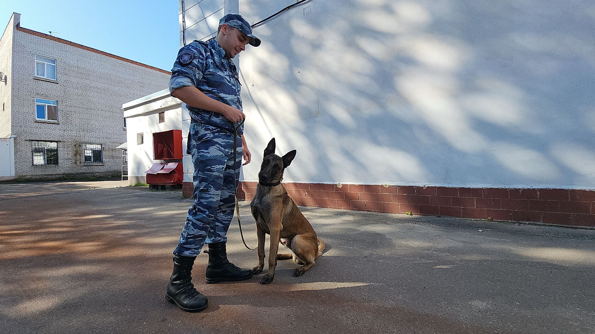 безопасность, полиция, умвд россии, гибдд, гаи, служба, служба 112, служба полиции, служба ппс,