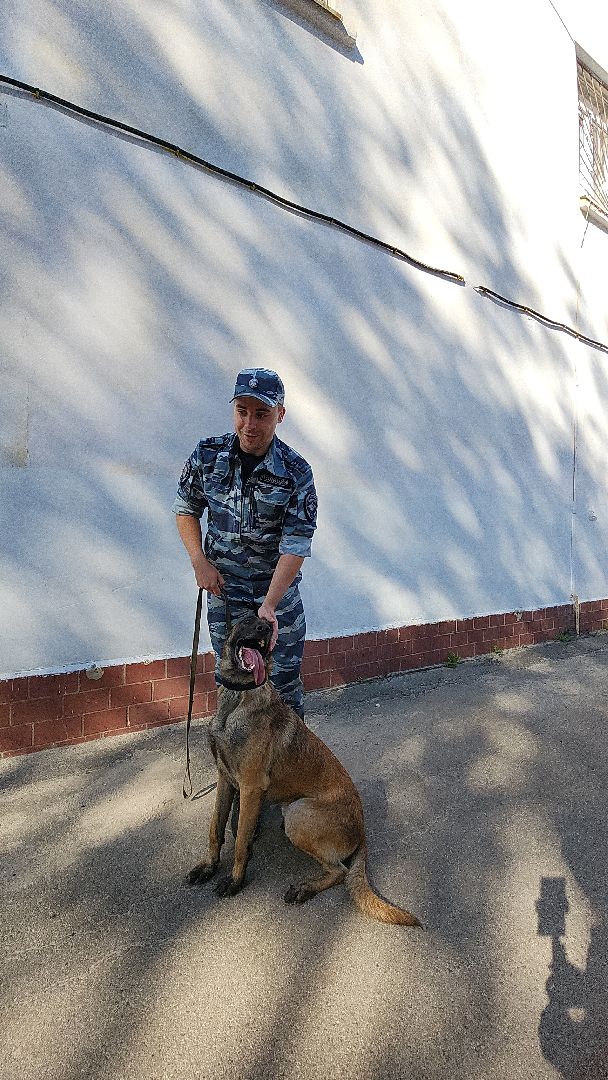 безопасность, полиция, умвд россии, гибдд, гаи, служба, служба 112, служба полиции, служба ппс,