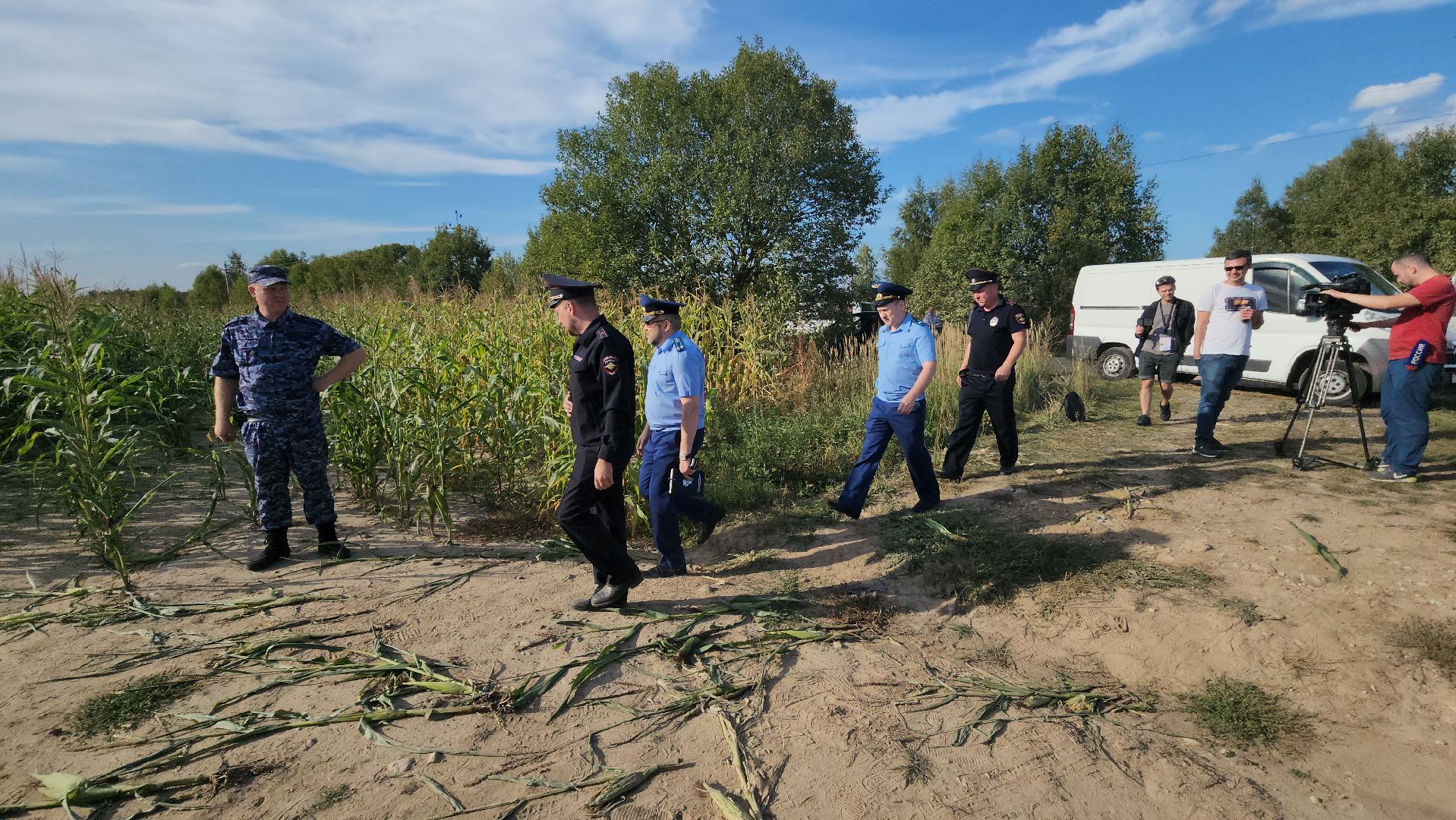 Руза, рузский городской округ, рузский хлебзавод, крушение самолета, авиакатастрофа, Чп, ватулино,