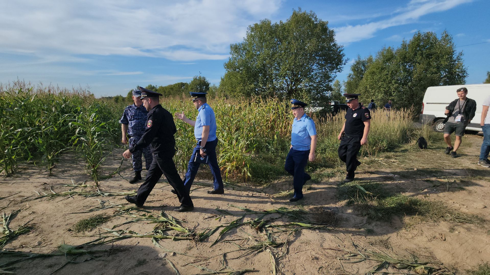 Руза, рузский городской округ, рузский хлебзавод, крушение самолета, авиакатастрофа, Чп, ватулино,