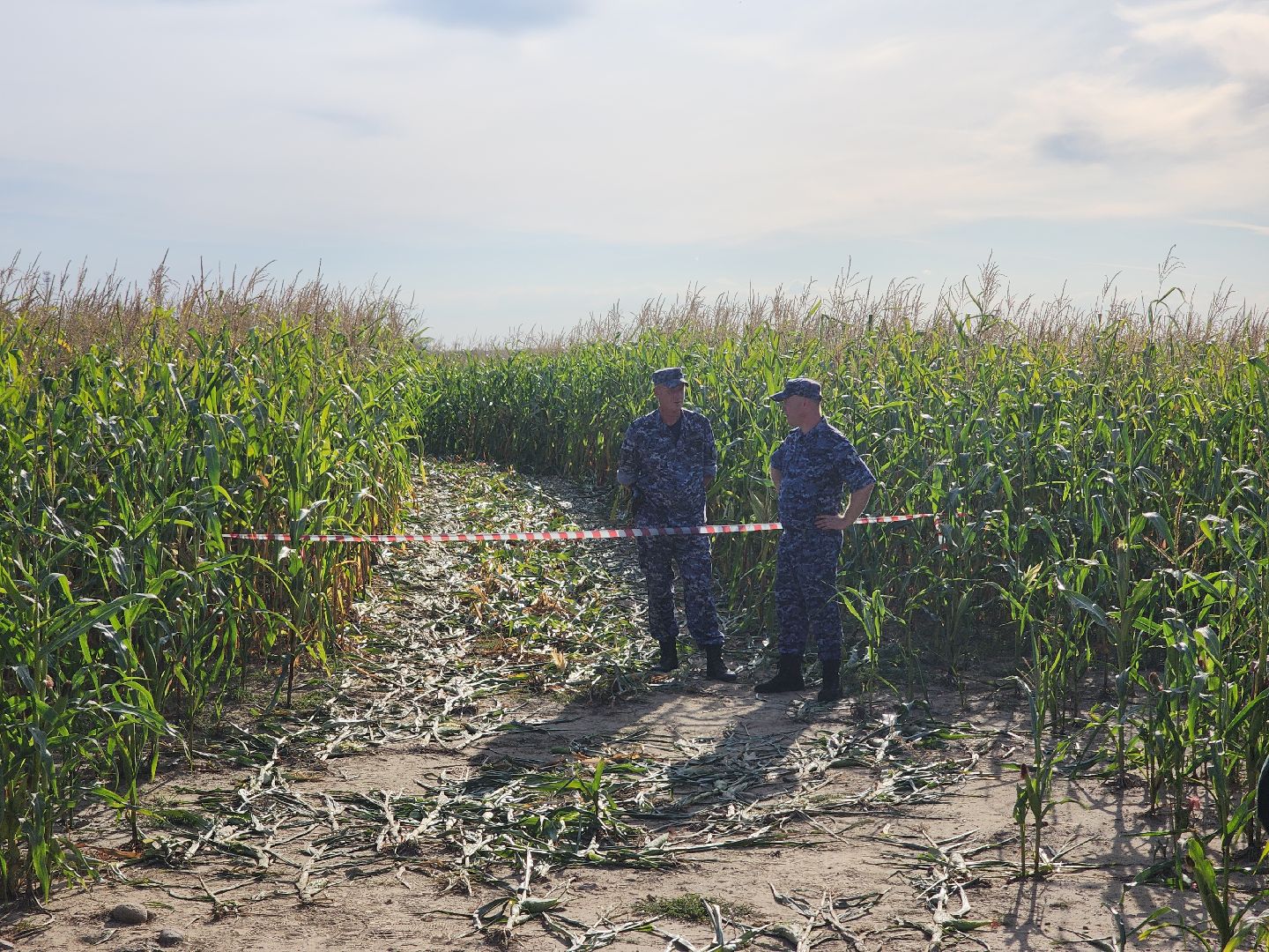 Руза, рузский городской округ, рузский хлебзавод, крушение самолета, авиакатастрофа, Чп, ватулино,
