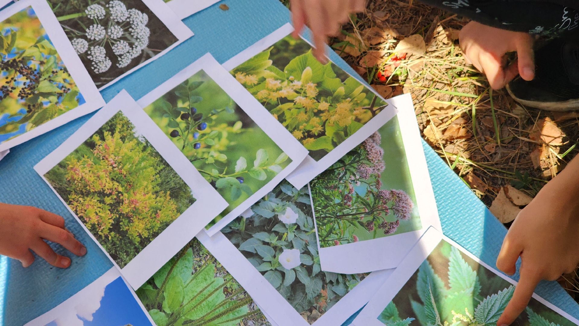 протвино, дюц горизонт, дети, протвинский рюкзачок, осень в протвино,