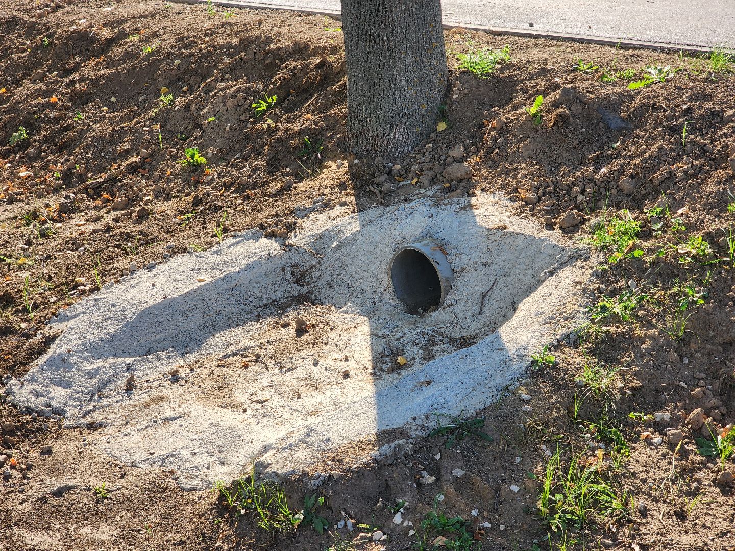 Зарайск, тротуар, безопасные качественные дороги,