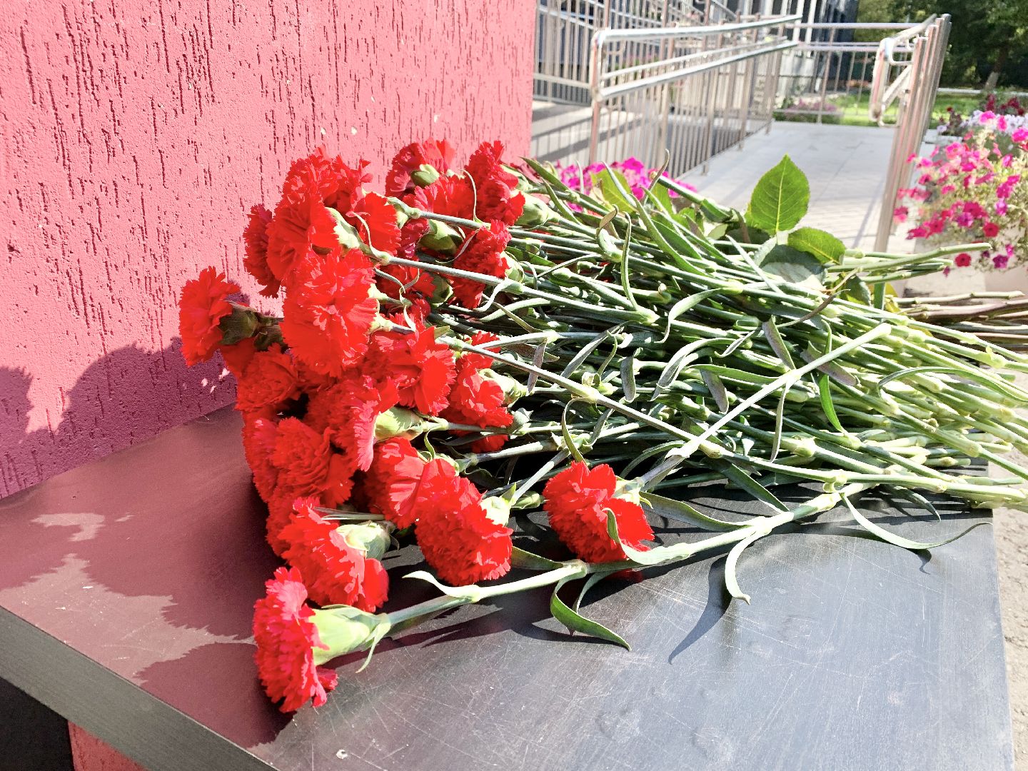 Балашиха, Подмосковье, мемориальная доска, СВО, Салтыковская гимназия,