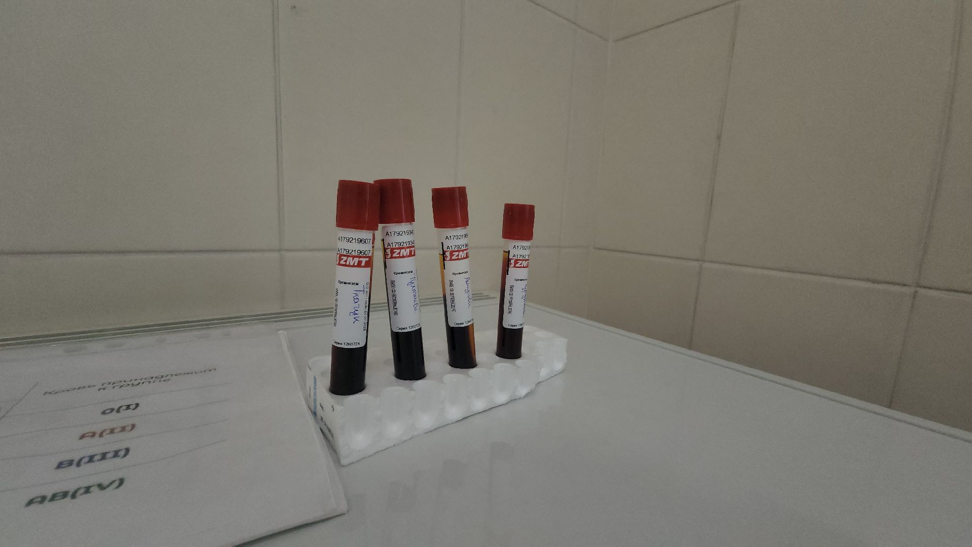 Роддом, Долгопрудный,