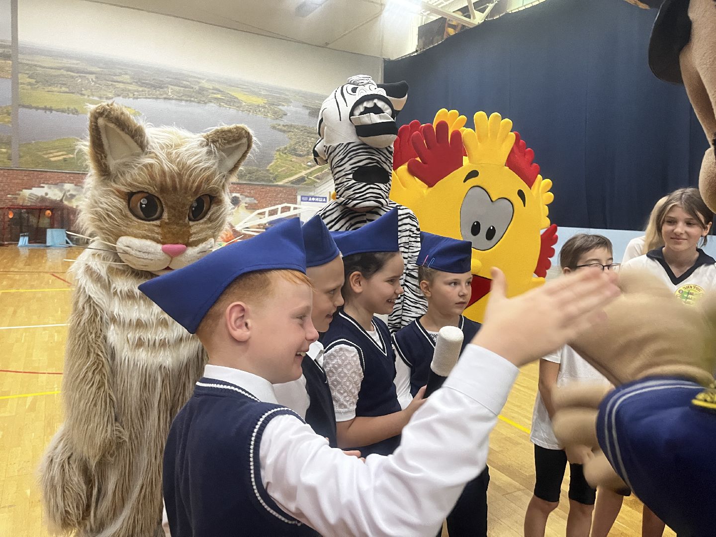 волоколамск, зебра,