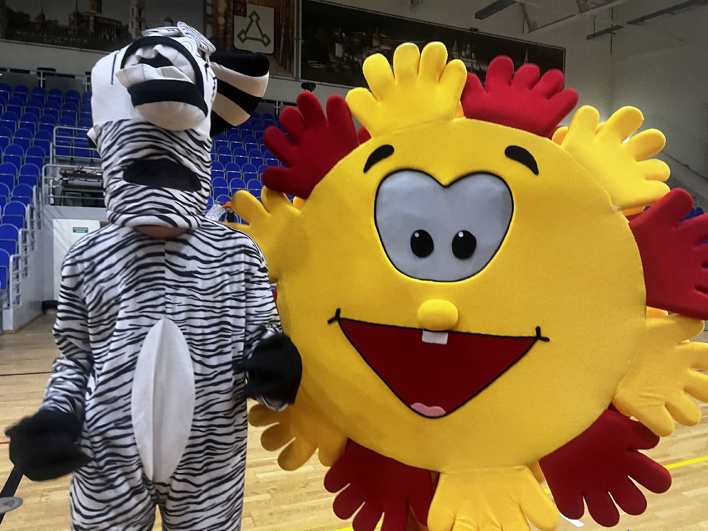 волоколамск, зебра,