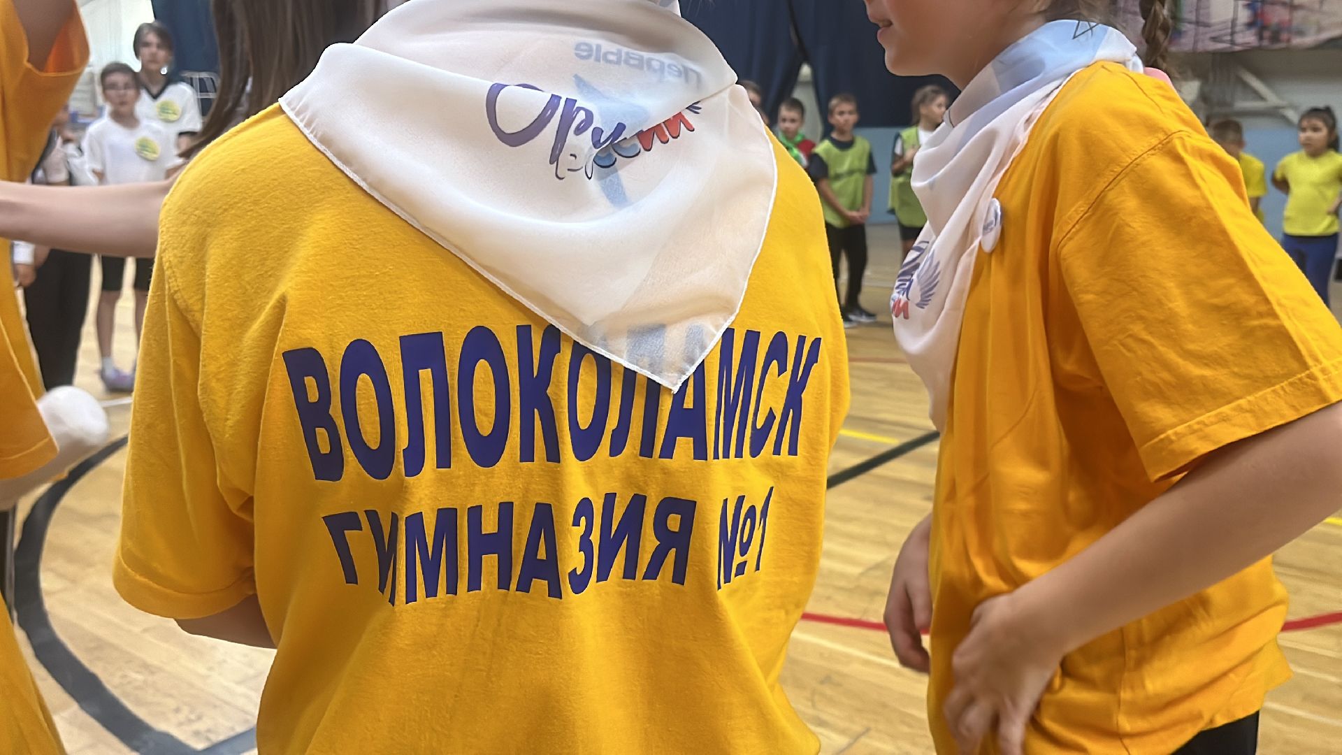 волоколамск, зебра,