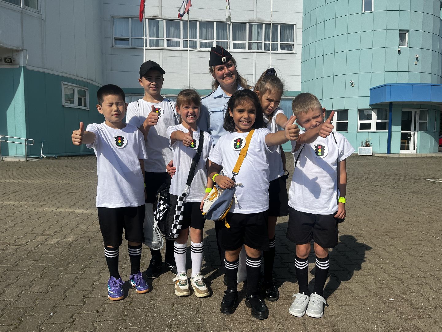 волоколамск, зебра,