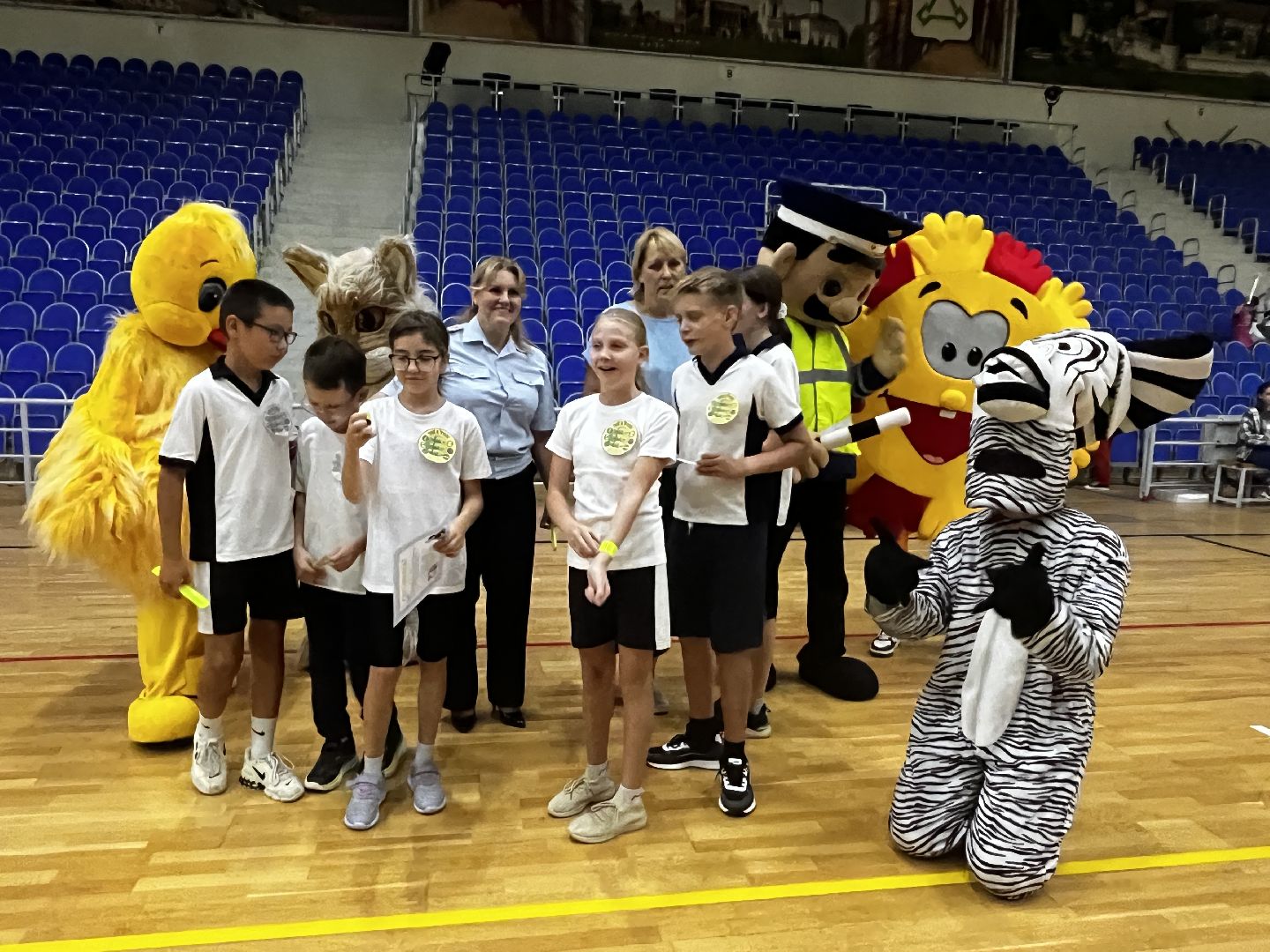 волоколамск, зебра,