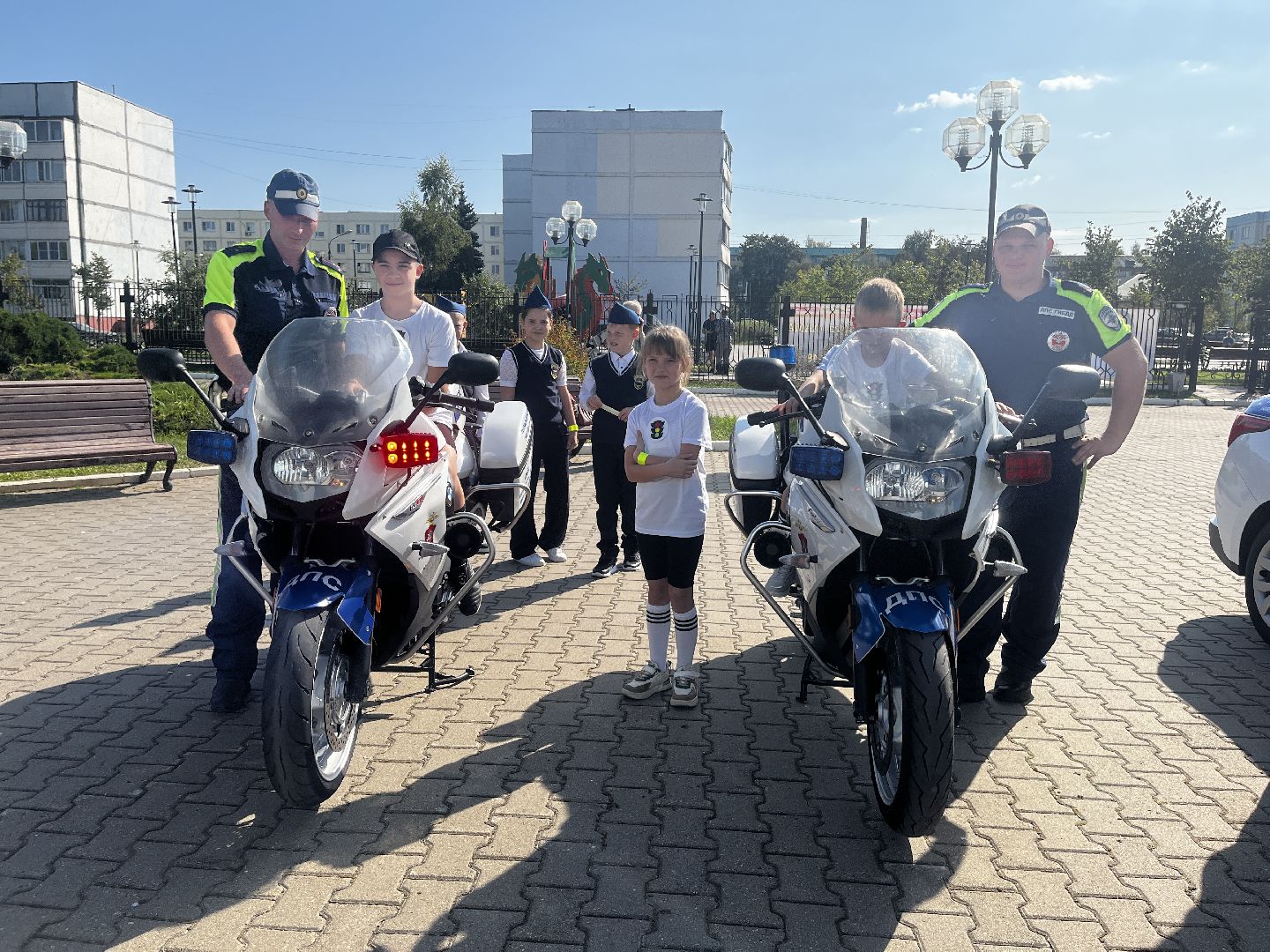 волоколамск, зебра,