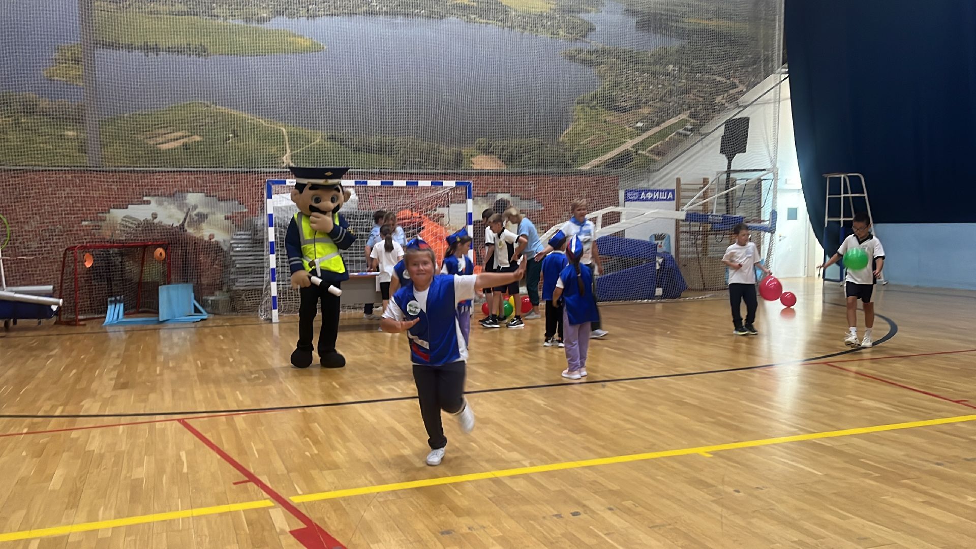 волоколамск, зебра,