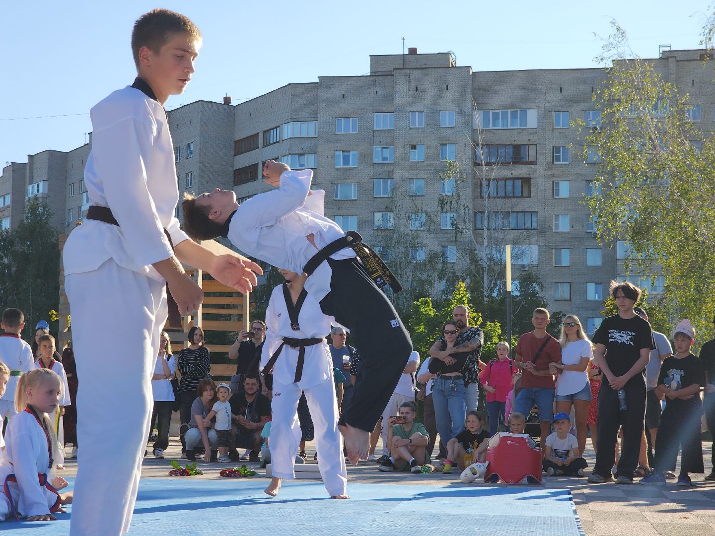 Черноголовка, Тхэквондо, Мастер-класс,