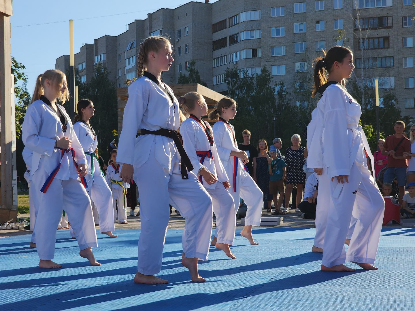 Черноголовка, Тхэквондо, Мастер-класс,