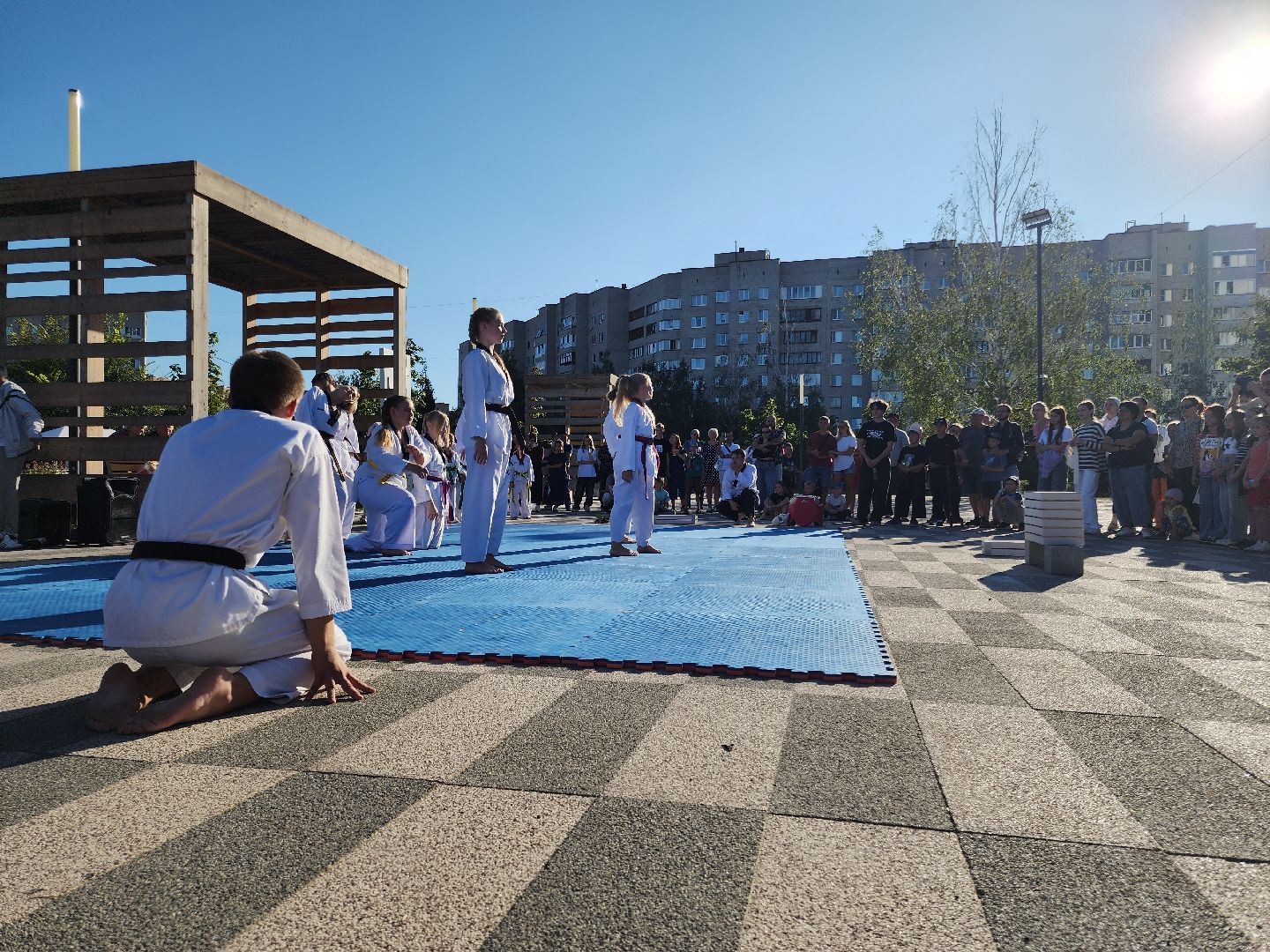 Черноголовка, Тхэквондо, Мастер-класс,