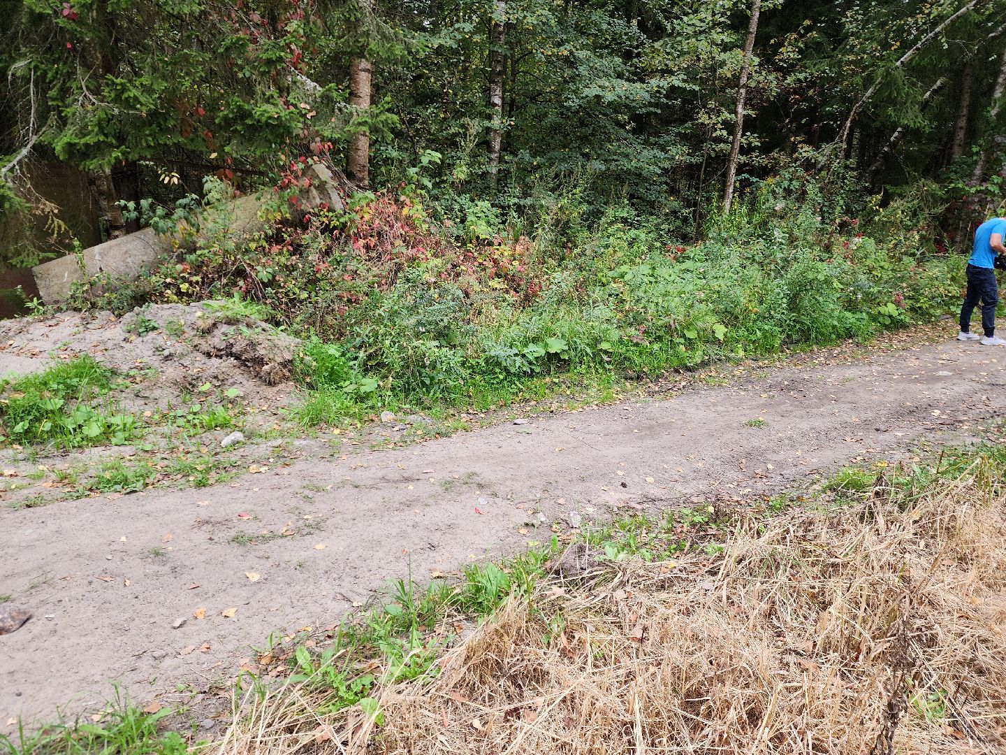 электроугли, власть, благоустройство, деревня марьино, тропа здоровья, жители, общество, оперативный объезд,