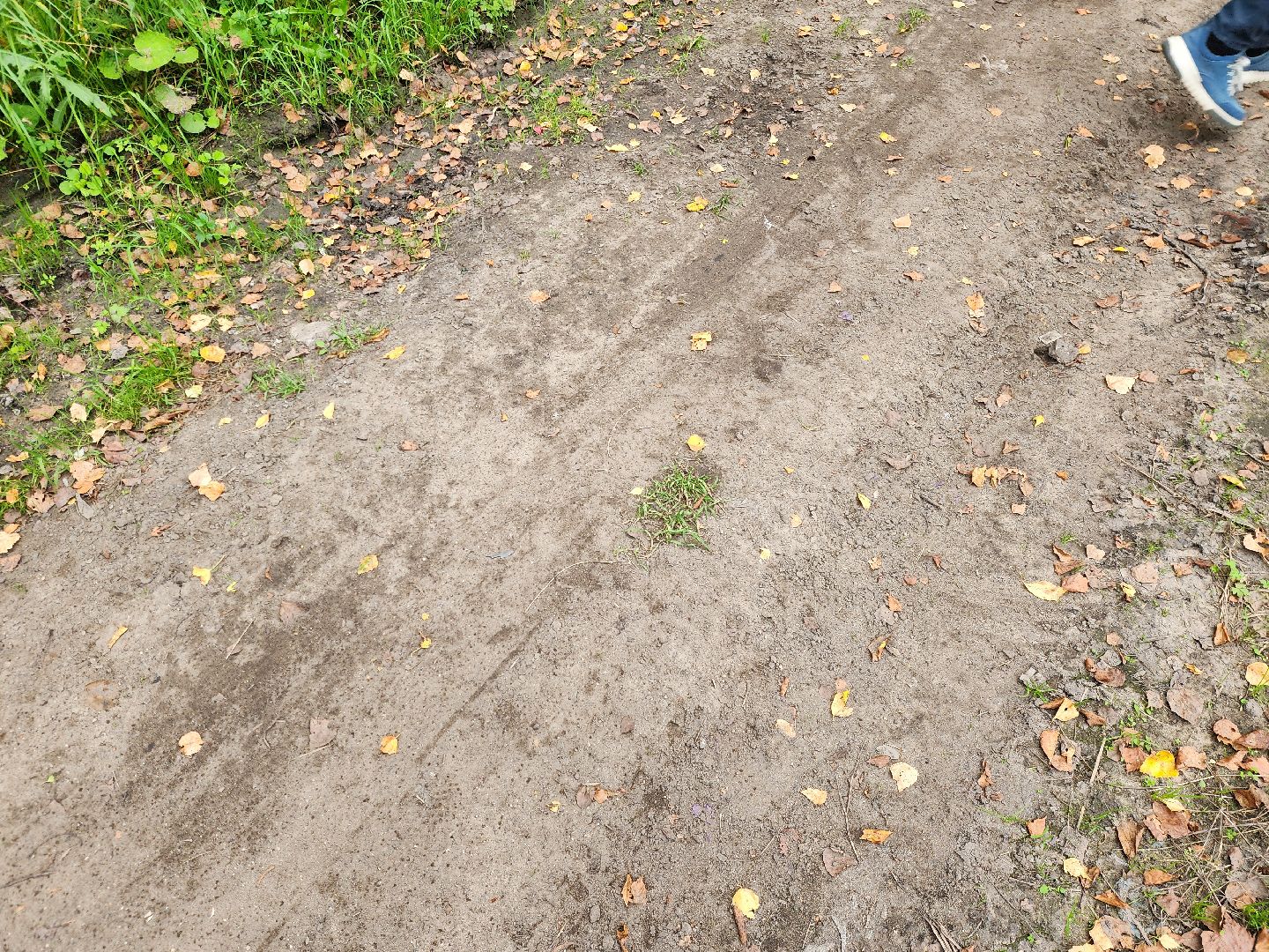 электроугли, власть, благоустройство, деревня марьино, тропа здоровья, жители, общество, оперативный объезд,