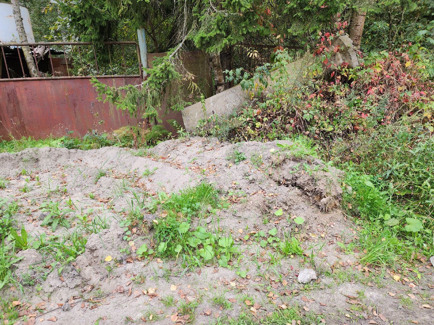 электроугли, власть, благоустройство, деревня марьино, тропа здоровья, жители, общество, оперативный объезд,