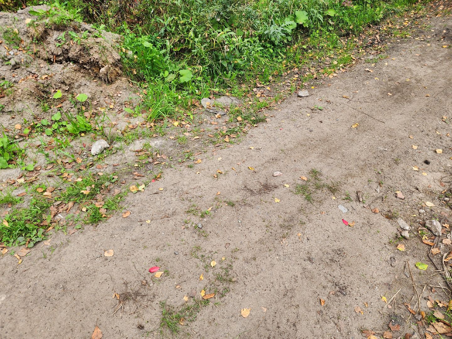 электроугли, власть, благоустройство, деревня марьино, тропа здоровья, жители, общество, оперативный объезд,