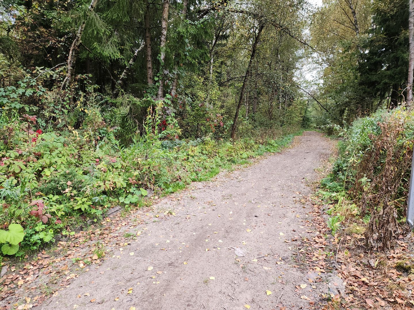электроугли, власть, благоустройство, деревня марьино, тропа здоровья, жители, общество, оперативный объезд,