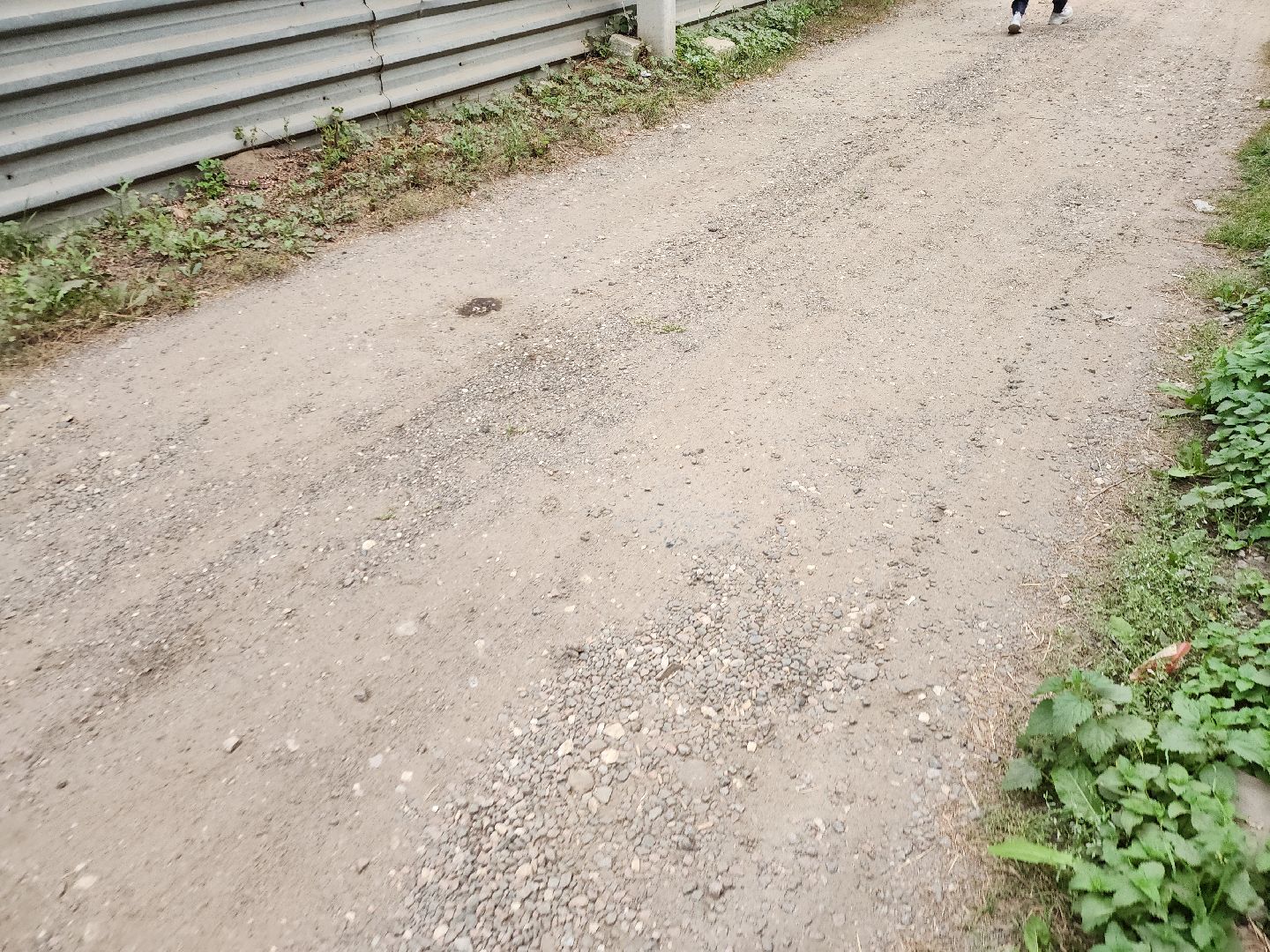 электроугли, жители, общество, жкх, благоустройство, очистка снега, оперативный объезд, глава округа,