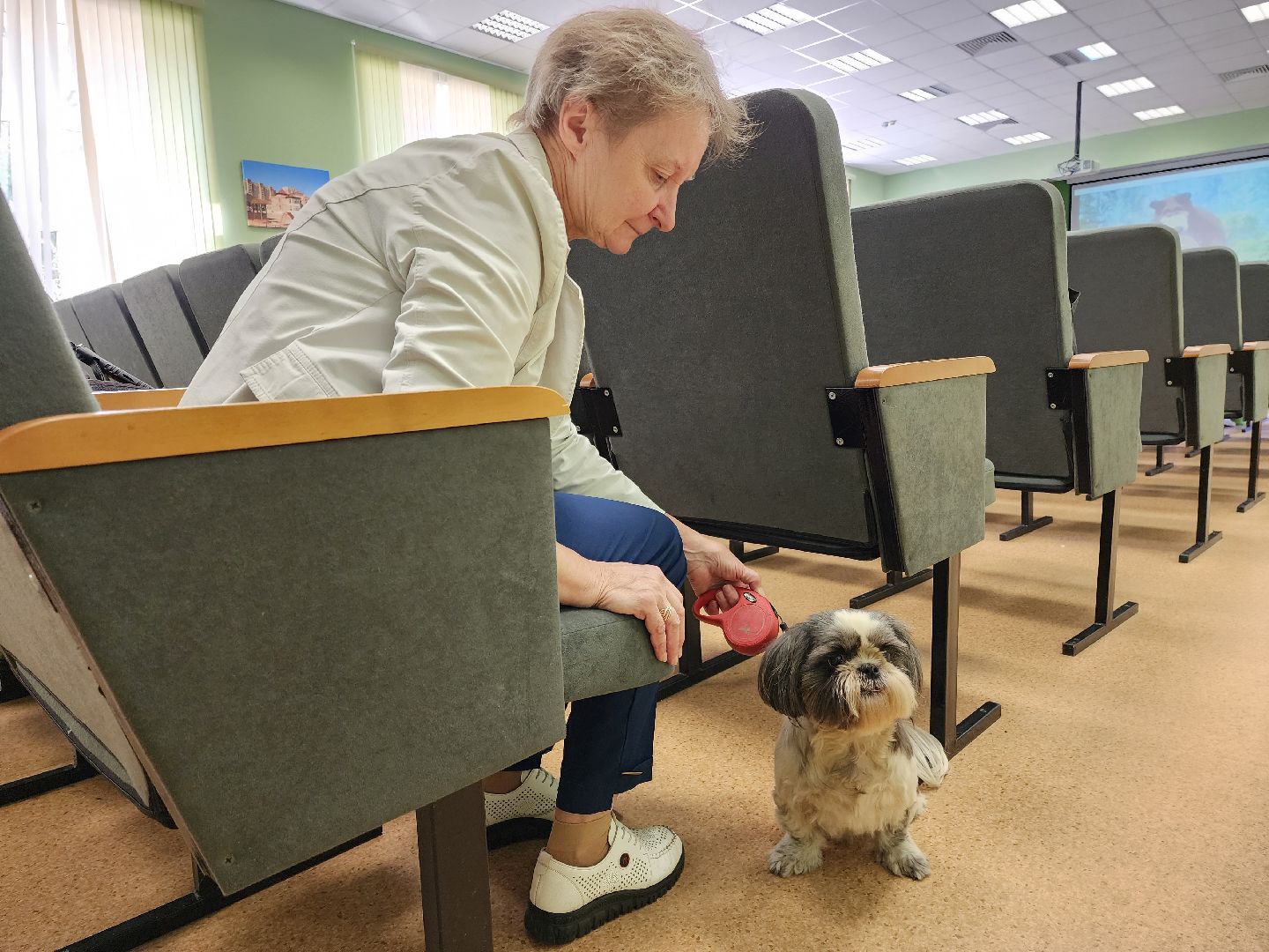 раменское, чп, атака беспилотников в городе раменское, пункт временного размещения, раменский дом учителя,