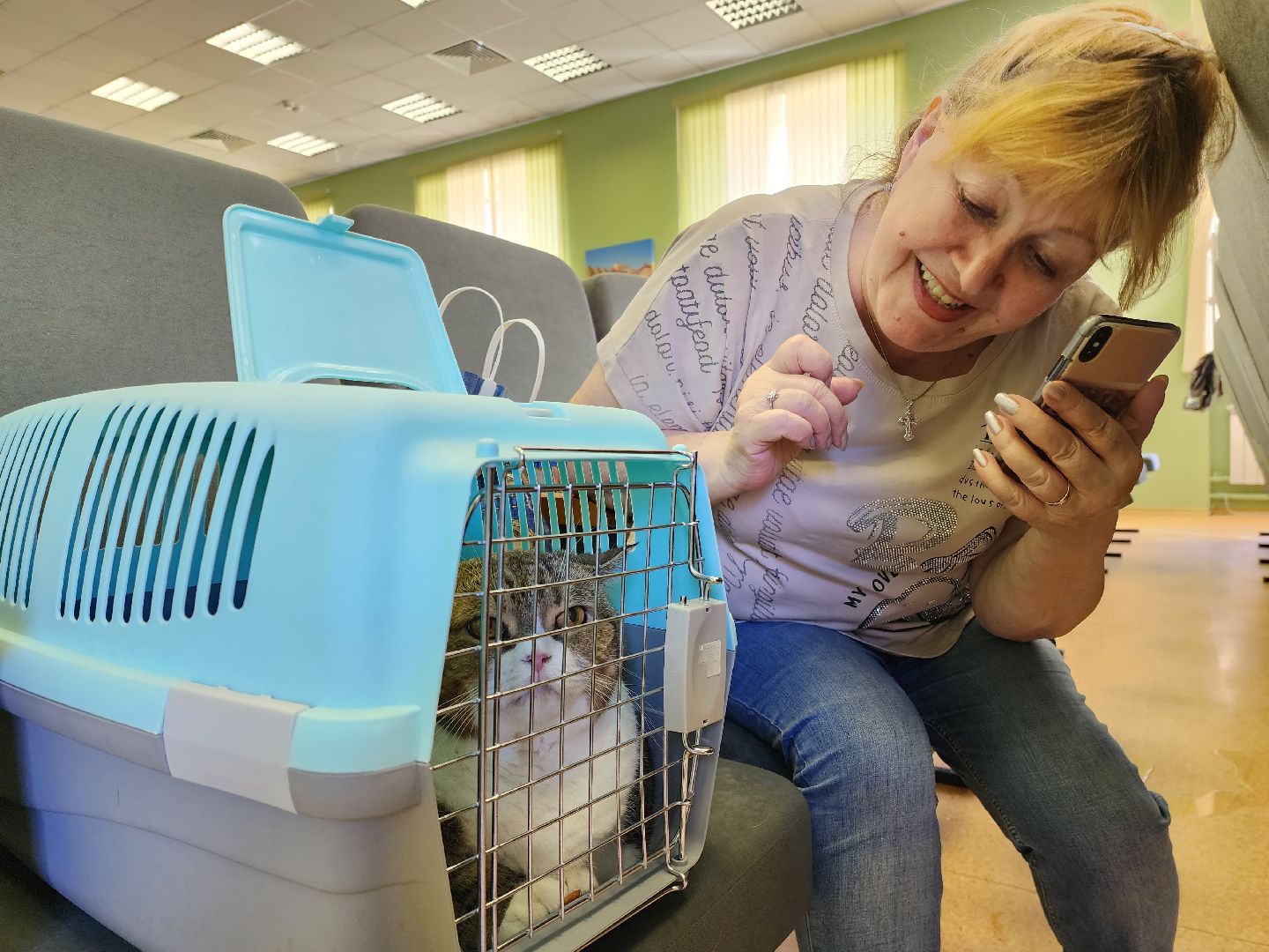 раменское, чп, атака беспилотников в городе раменское, пункт временного размещения, раменский дом учителя,