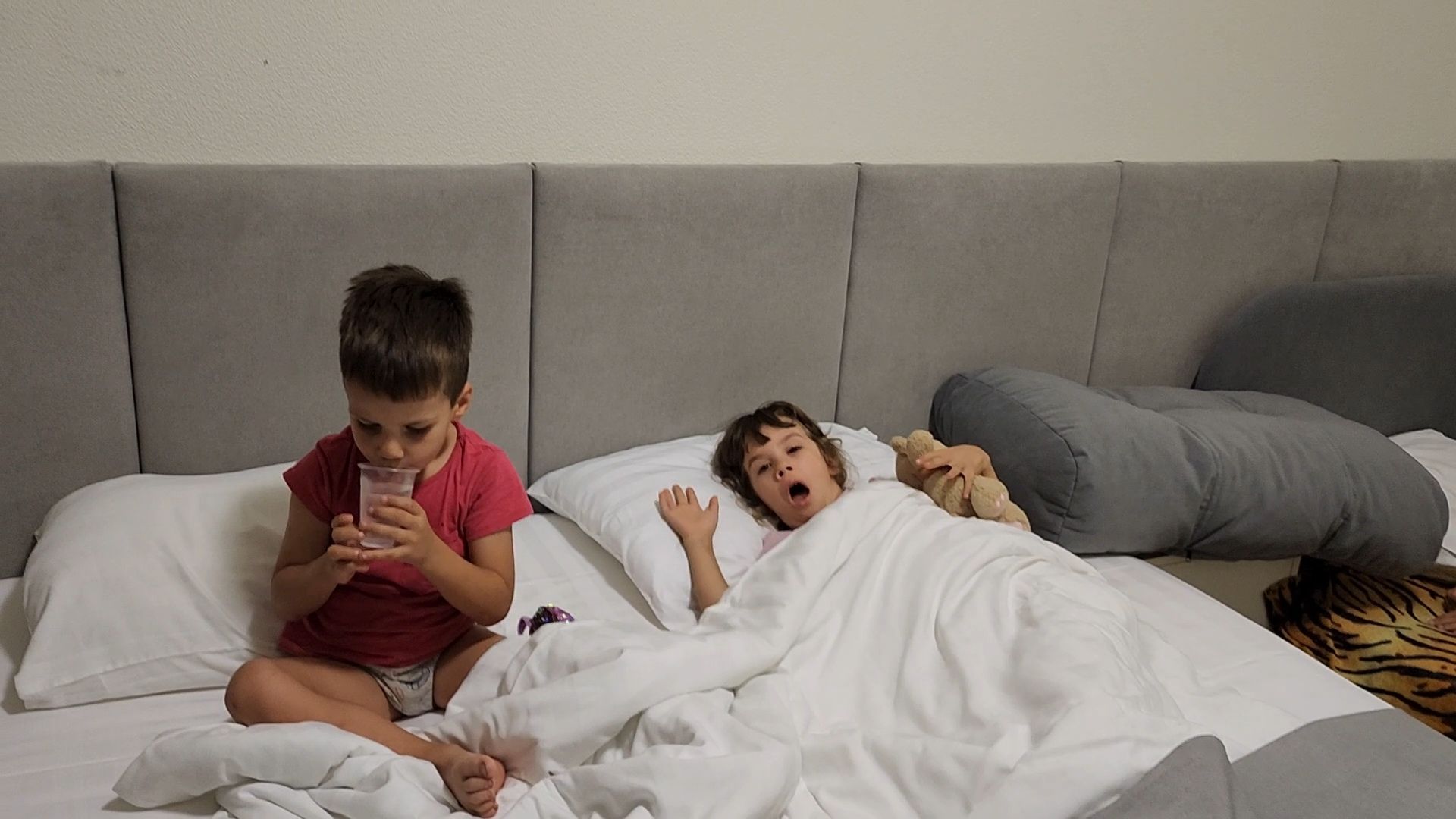 Раменское, Заселение пострадавших после атаки БПЛА, Помощь пострадавшим, Проишествие,