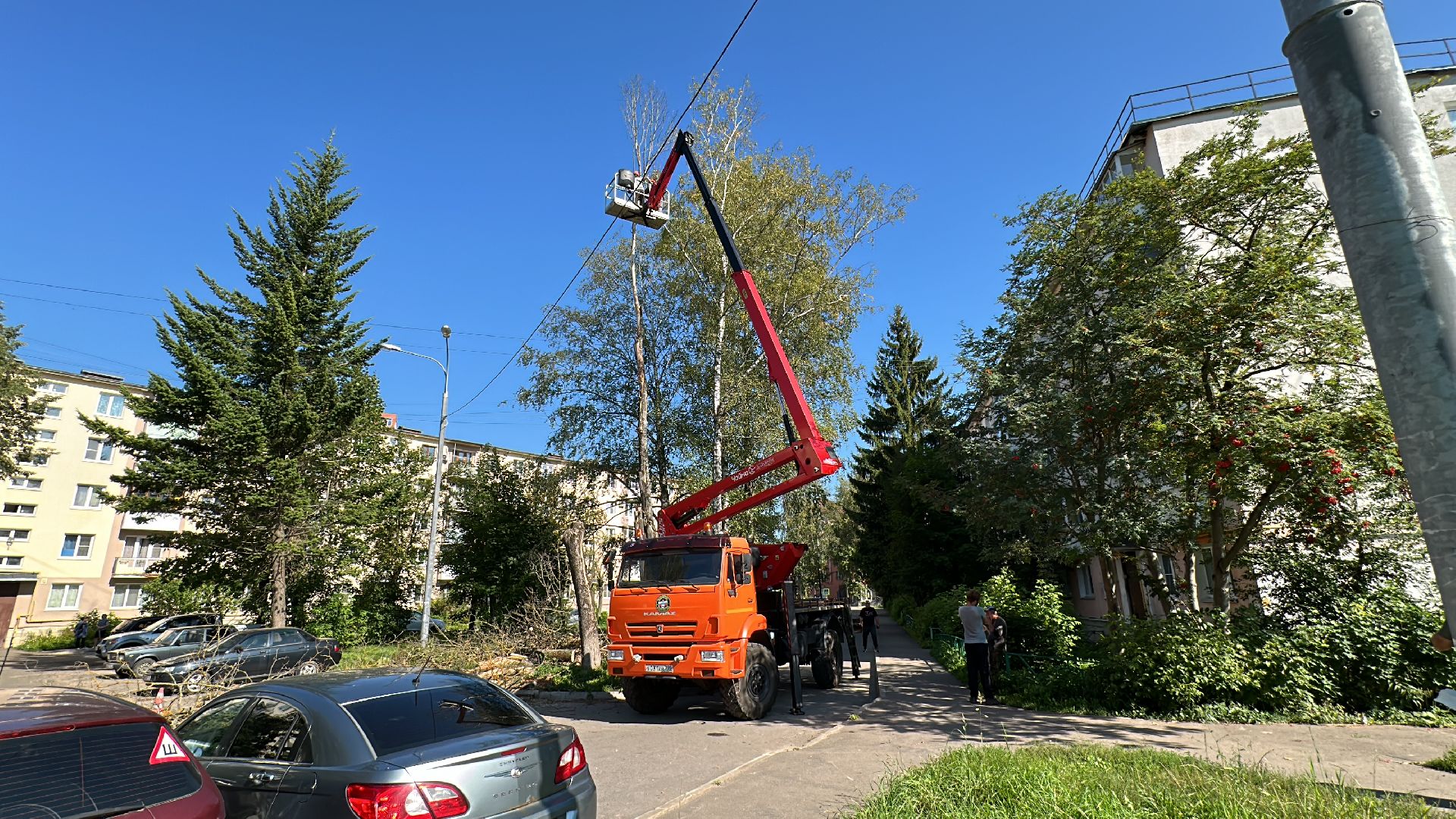Клин, общество, ЖКХ, опиловка деревьев, благоустройство,
