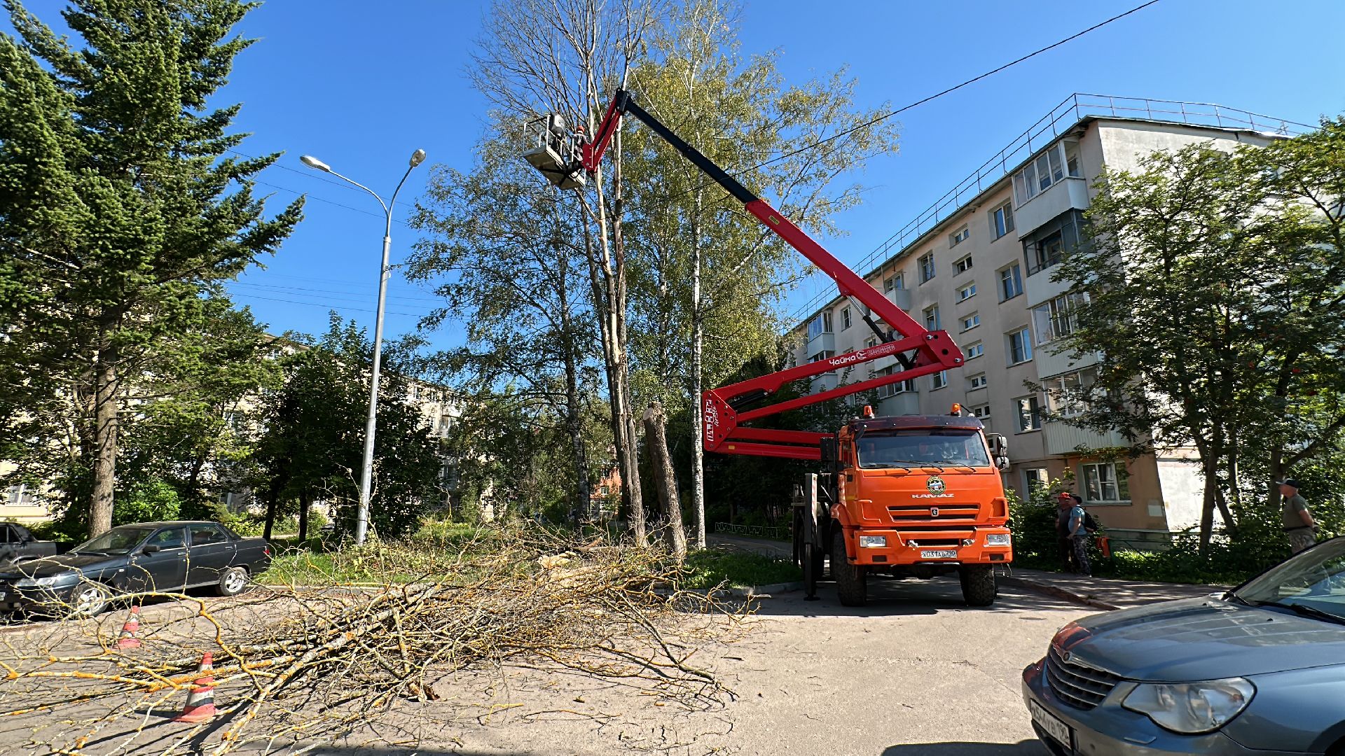 Клин, общество, ЖКХ, опиловка деревьев, благоустройство,