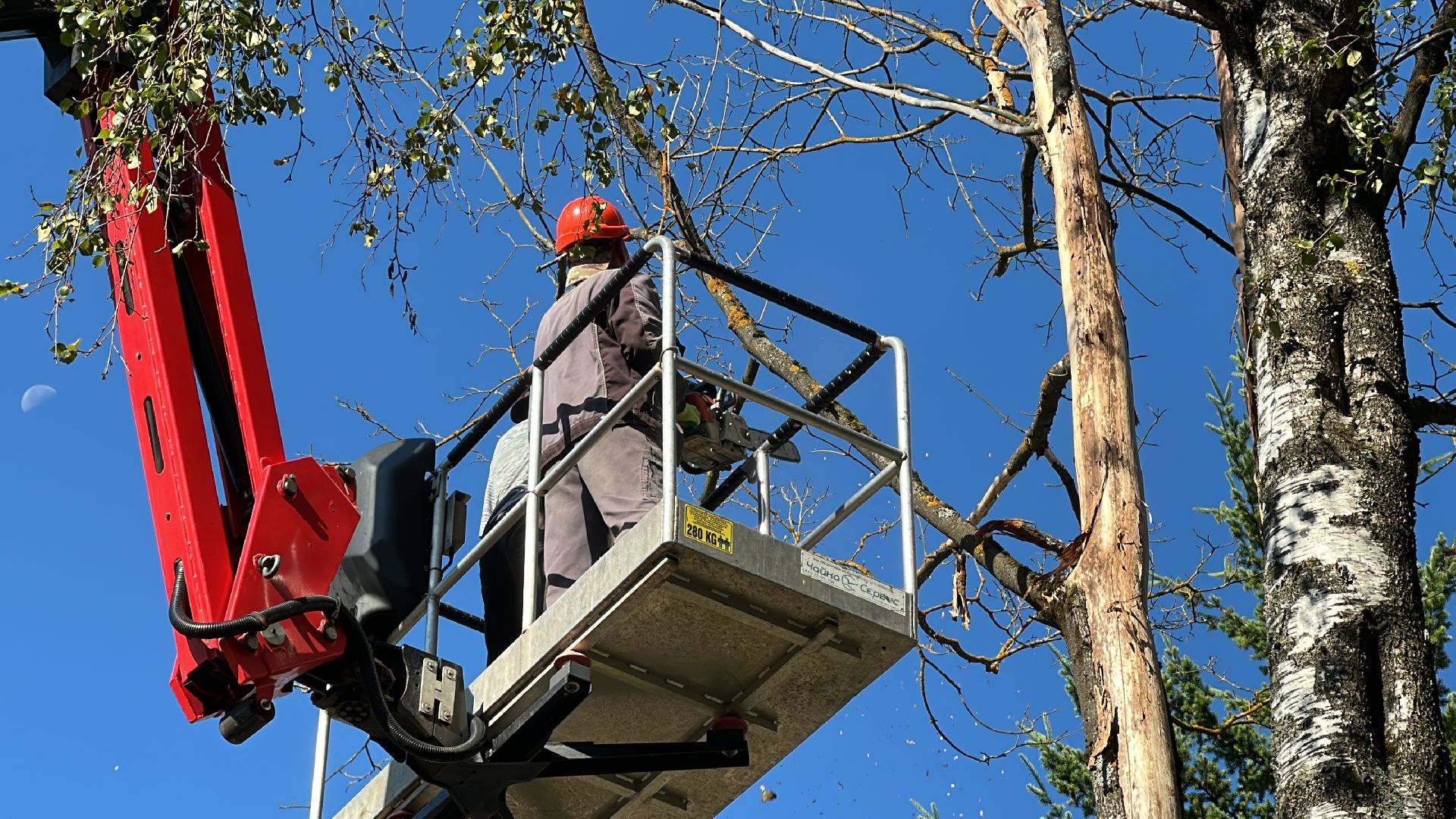 Клин, общество, ЖКХ, опиловка деревьев, благоустройство,