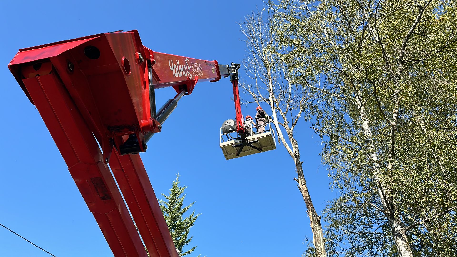 Клин, общество, ЖКХ, опиловка деревьев, благоустройство,