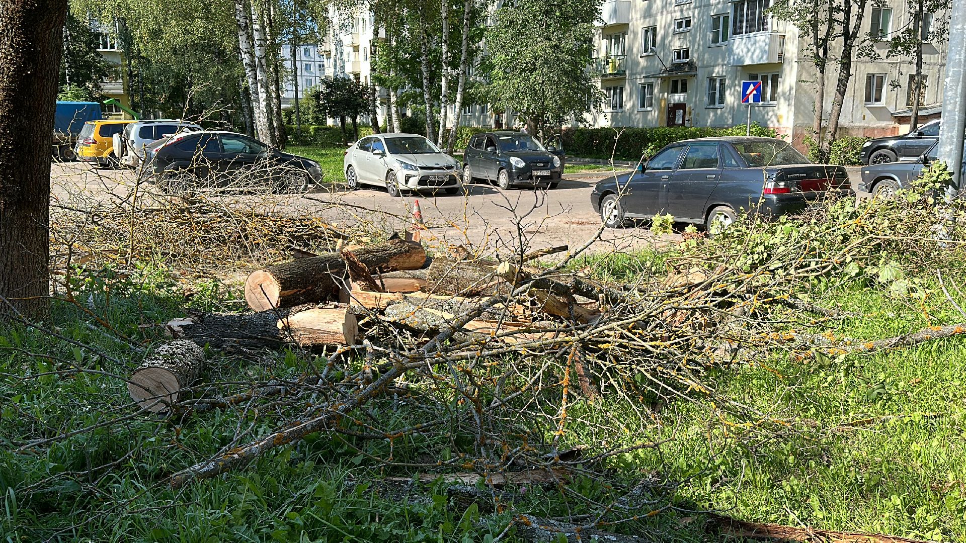 Клин, общество, ЖКХ, опиловка деревьев, благоустройство,