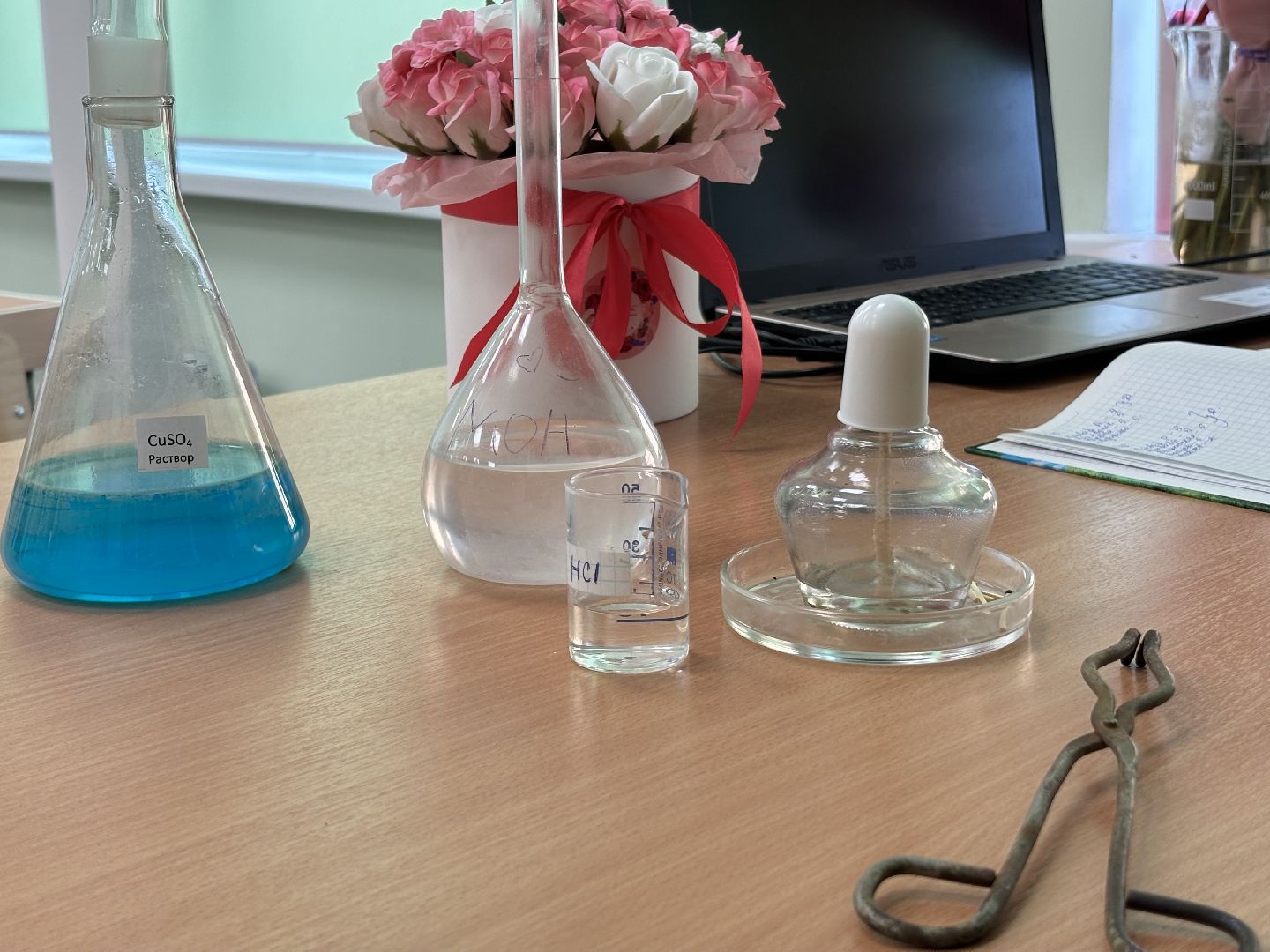 образование, учитель химии, школа 8, кучино,