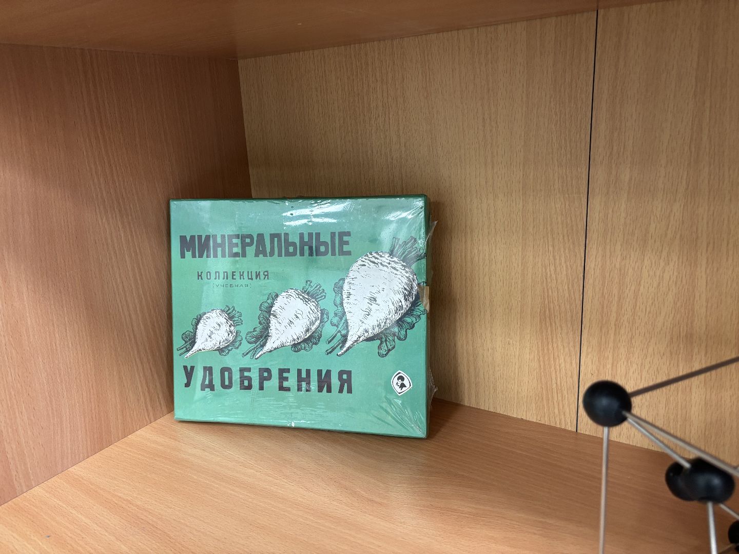 образование, учитель химии, школа 8, кучино,