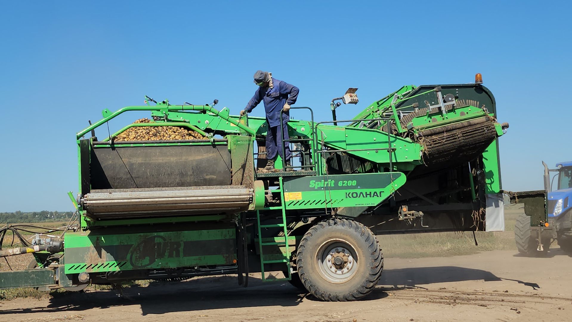 серпухов, ао дашковка, сельское хозяйство, уборочная 2024, картофель,