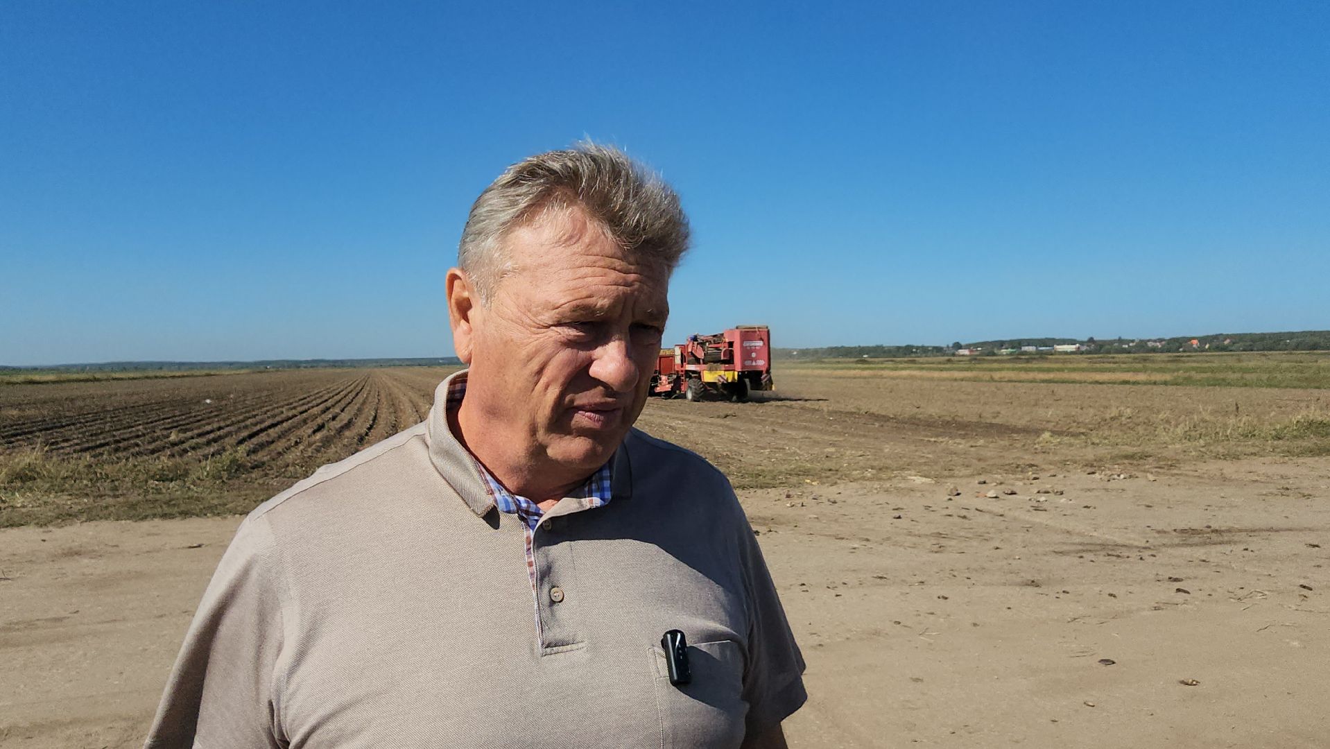 серпухов, ао дашковка, сельское хозяйство, уборочная 2024, картофель,