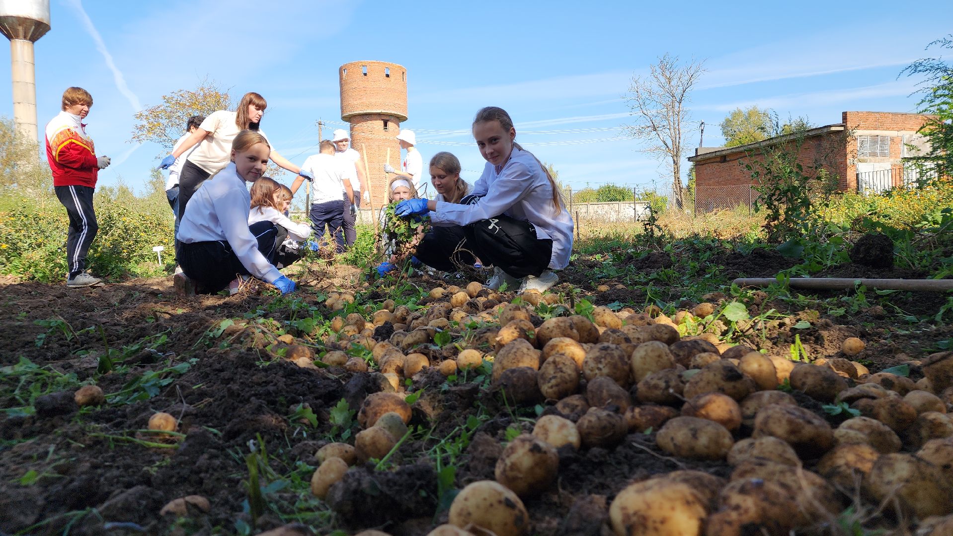 образование в подмосковье, агроклассы, ступино,