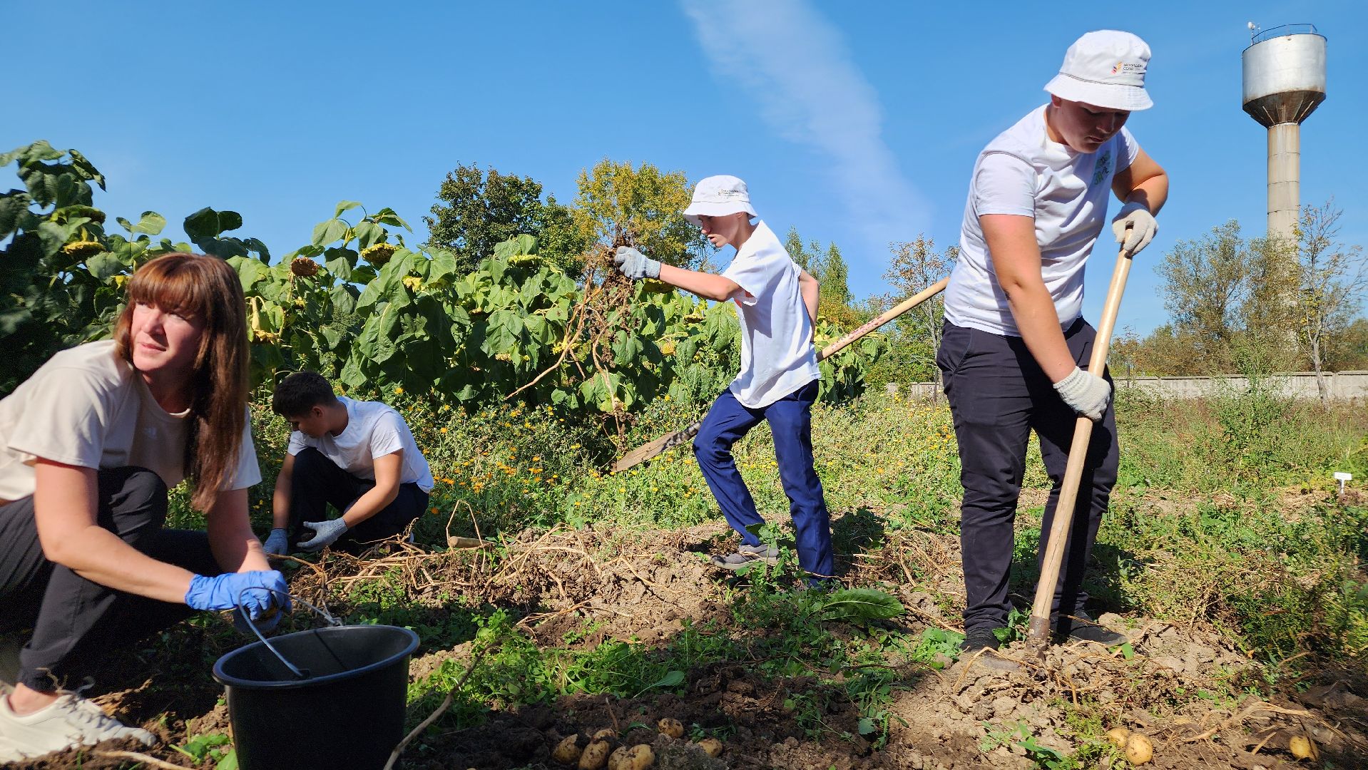 образование в подмосковье, агроклассы, ступино,