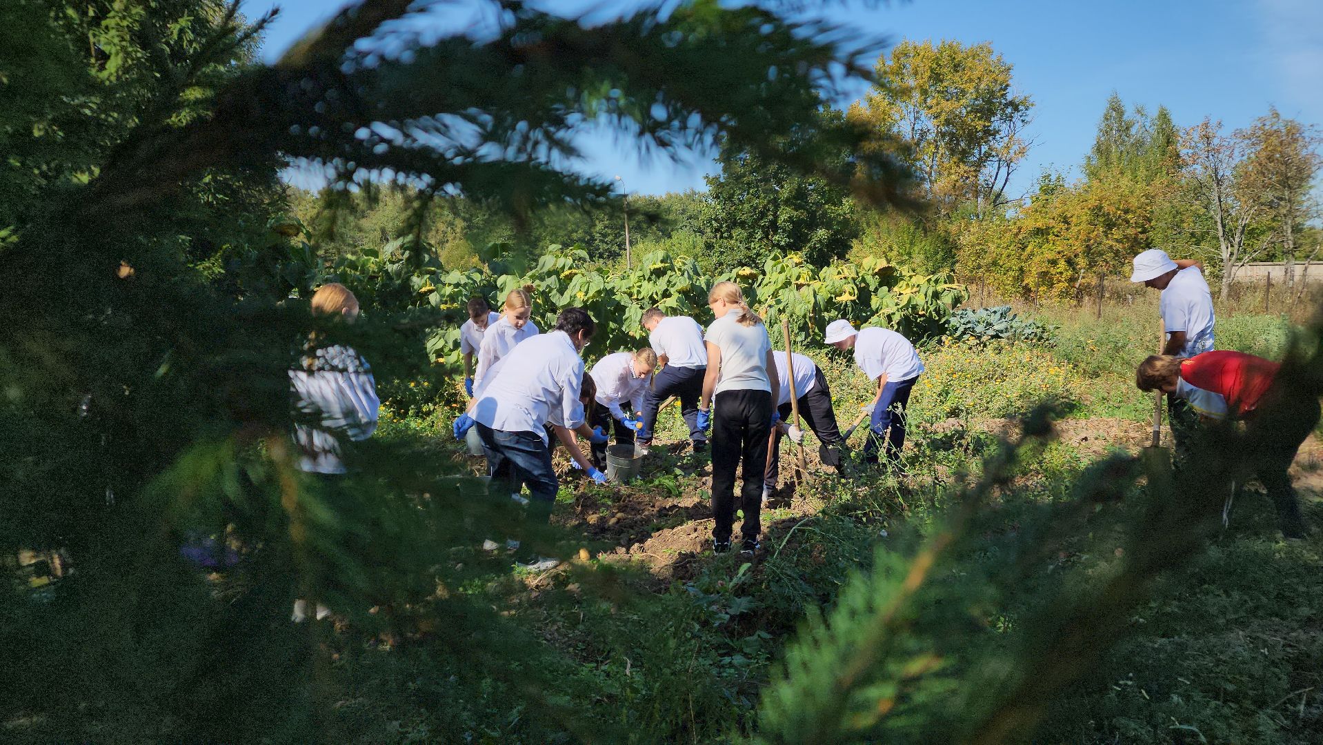 образование в подмосковье, агроклассы, ступино,