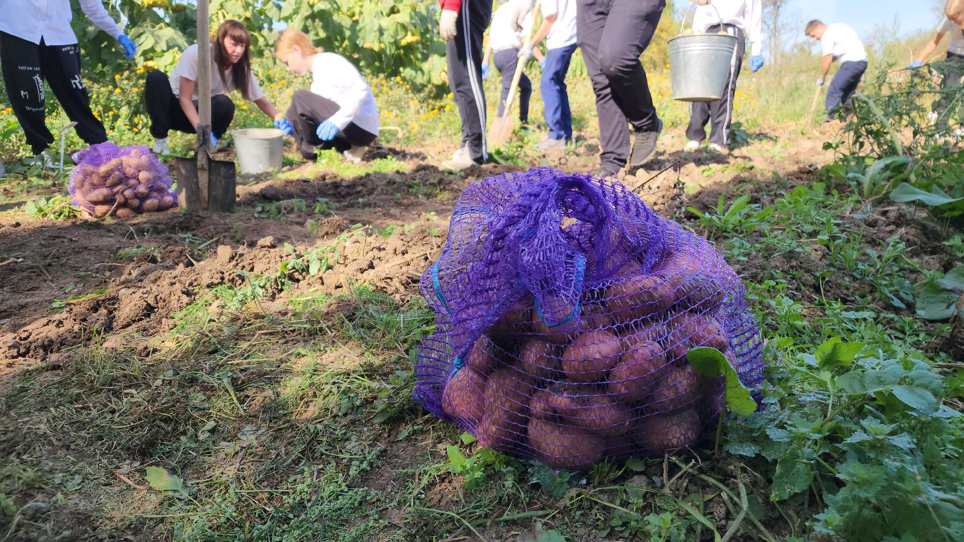образование в подмосковье, агроклассы, ступино,