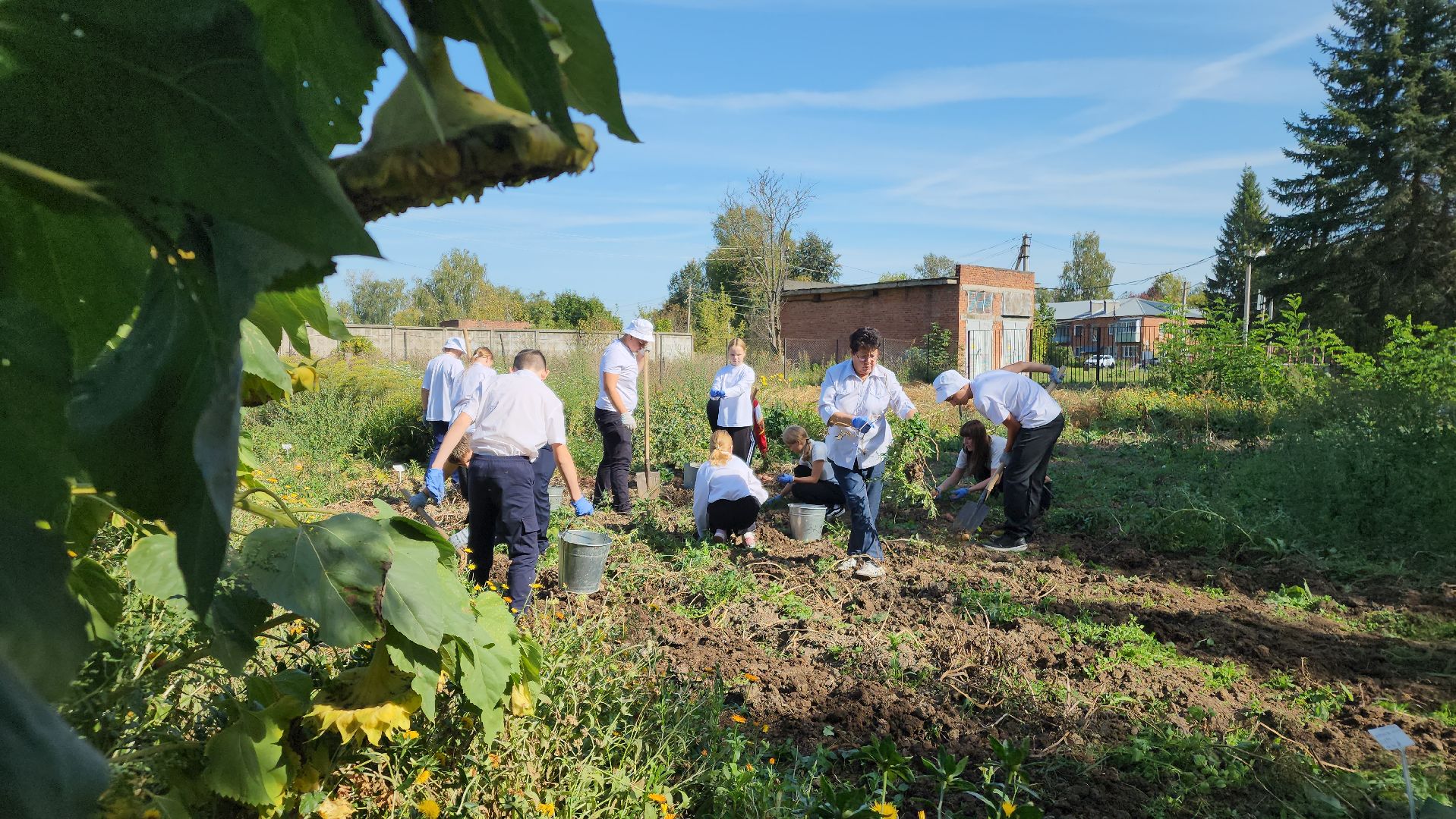 образование в подмосковье, агроклассы, ступино,