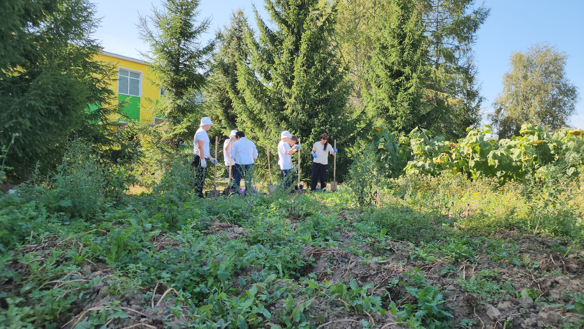 образование в подмосковье, агроклассы, ступино,