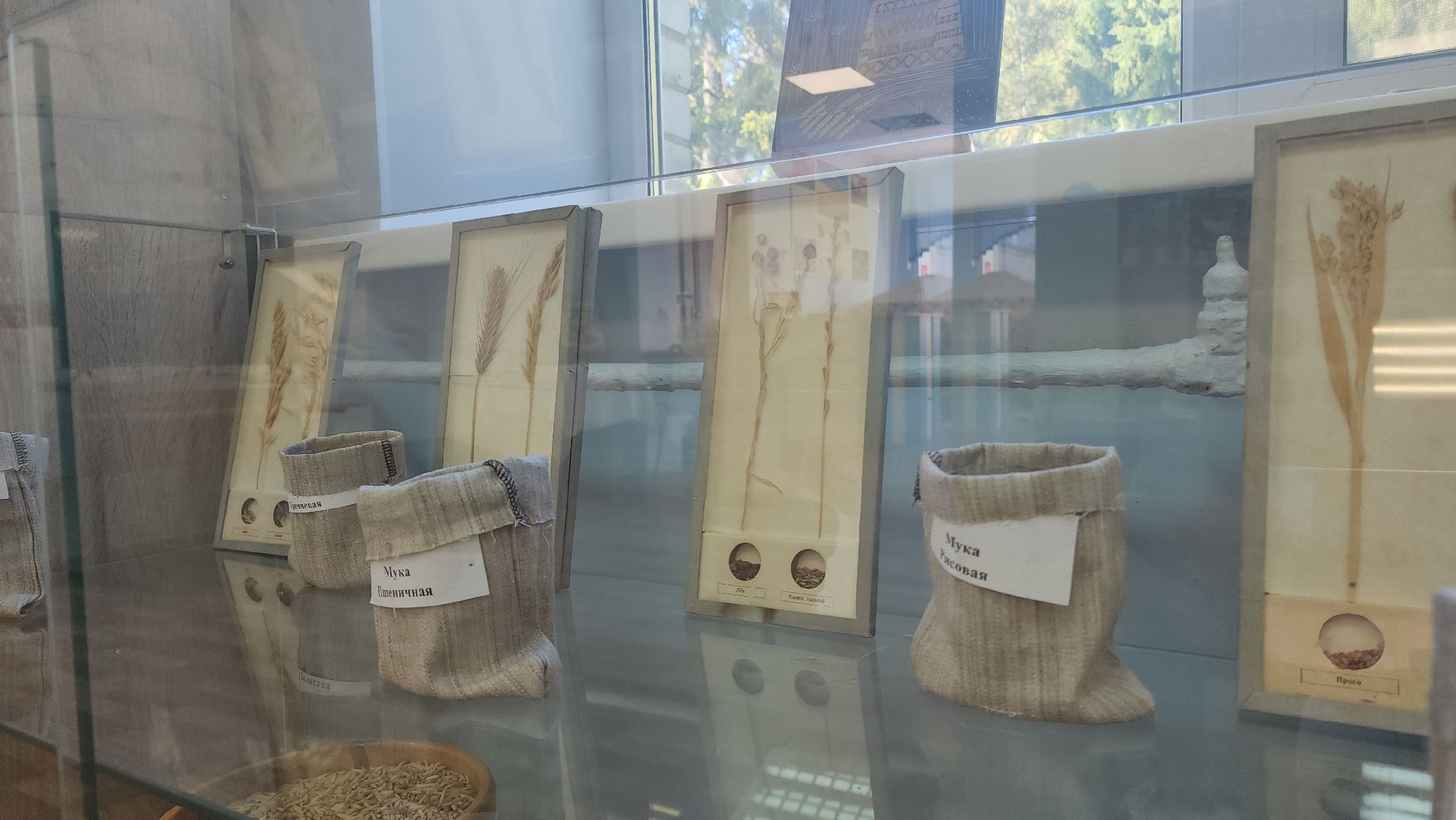Музей хлеба, Лобня,