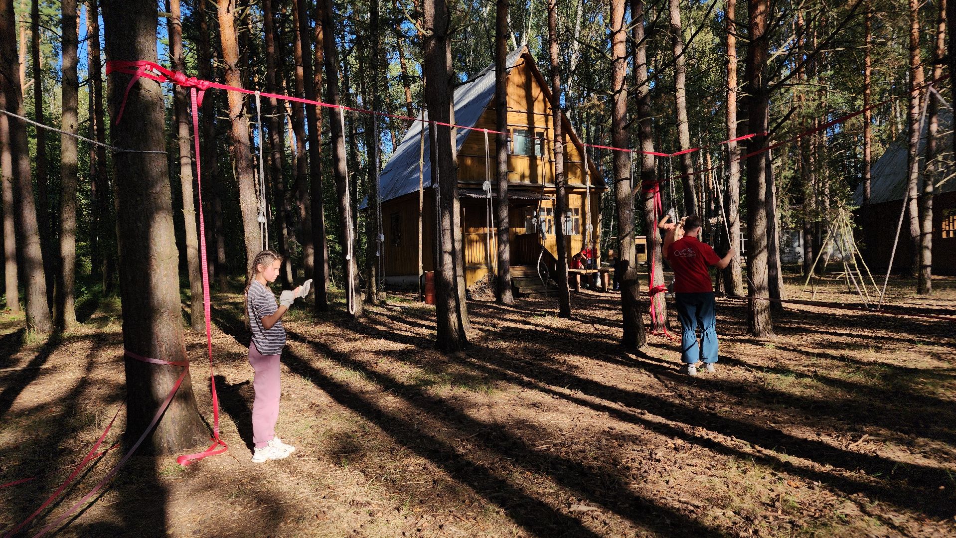 ступино, образование в подмосковье, островок ступино,
