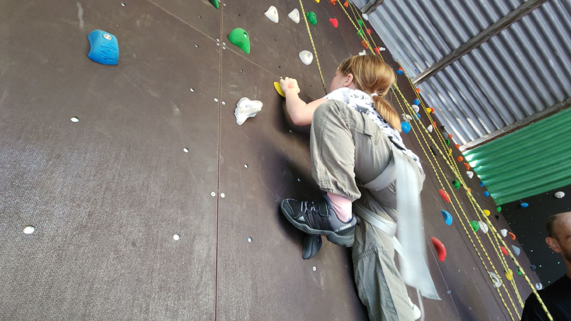 ступино, образование в подмосковье, островок ступино,