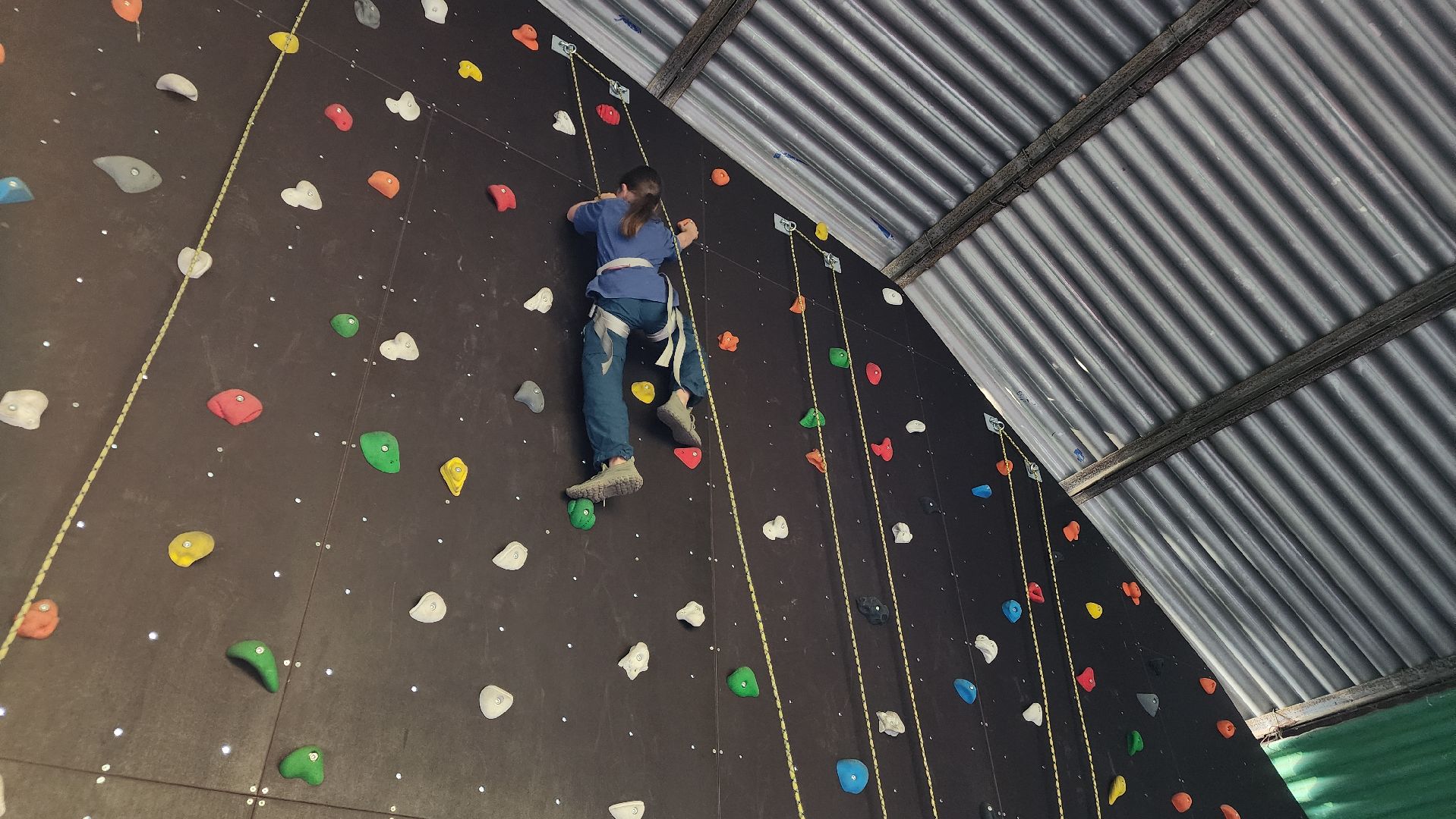 ступино, образование в подмосковье, островок ступино,