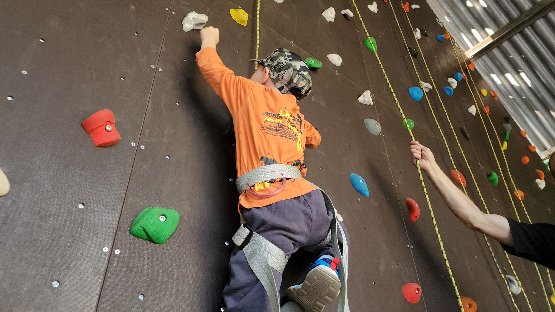 ступино, образование в подмосковье, островок ступино,