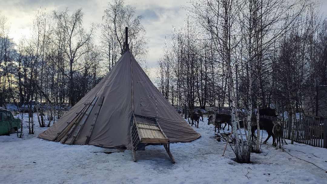 Кашира, общество